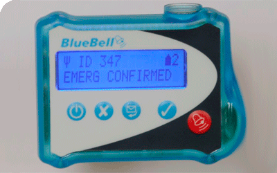 BlueBell Pager image